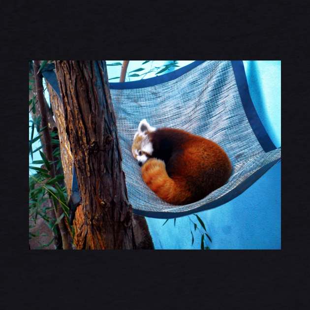 Sleepy Redpanda by mtndew3301@gmail.com